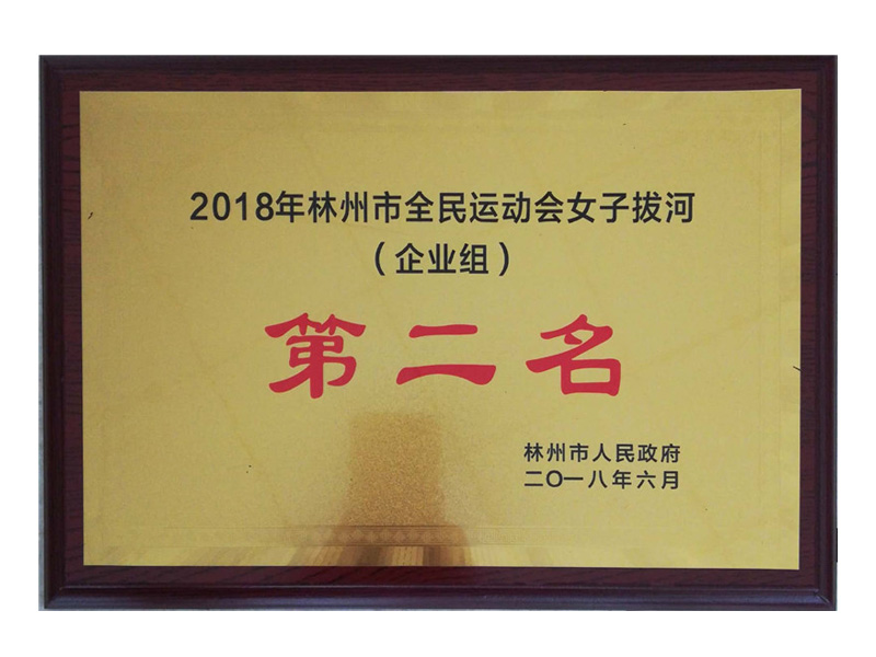 林州市全民 運動會企業(yè)組女子拔河第二名