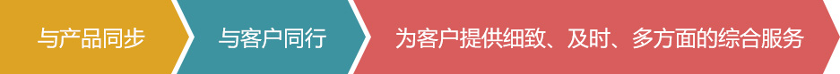 營銷網(wǎng)絡